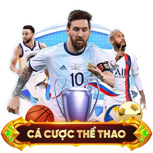 Cược thể thao C54