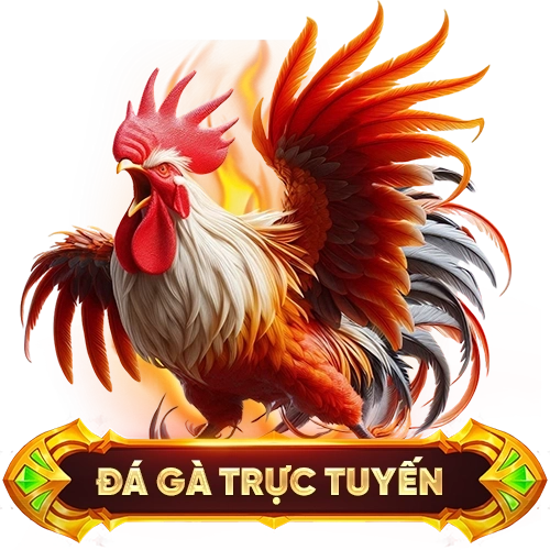 đá gà trực tuyến C54